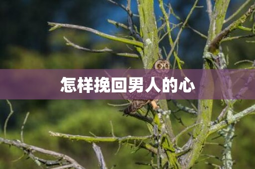 怎样挽回男人的心