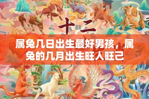 属兔几日出生最好男孩，属兔的几月出生旺人旺己