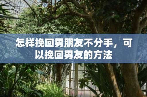 怎样挽回男朋友不分手，可以挽回男友的方法