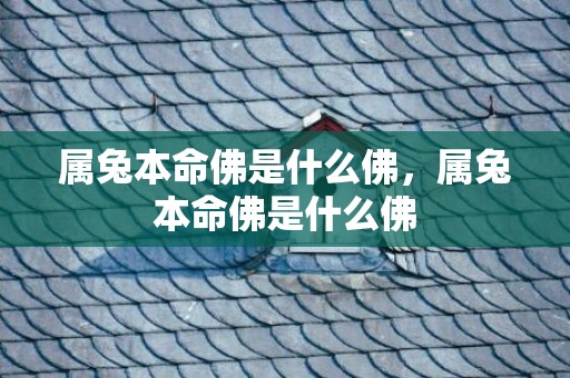 属兔本命佛是什么佛，属兔本命佛是什么佛