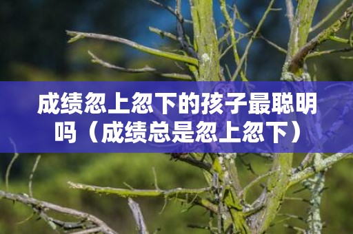 成绩忽上忽下的孩子最聪明吗（成绩总是忽上忽下）