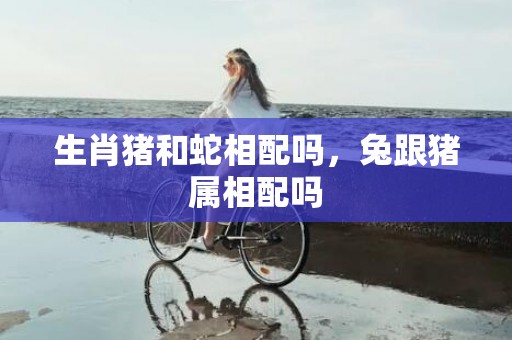 生肖猪和蛇相配吗，兔跟猪属相配吗