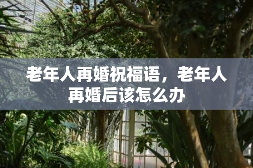 老年人再婚祝福语，老年人再婚后该怎么办