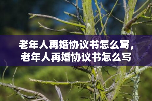 老年人再婚协议书怎么写，老年人再婚协议书怎么写