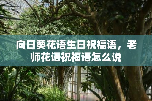 向日葵花语生日祝福语，老师花语祝福语怎么说
