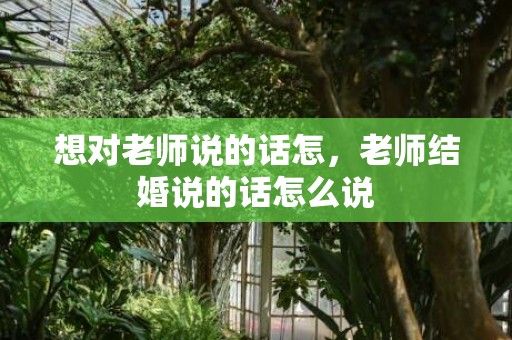 想对老师说的话怎，老师结婚说的话怎么说