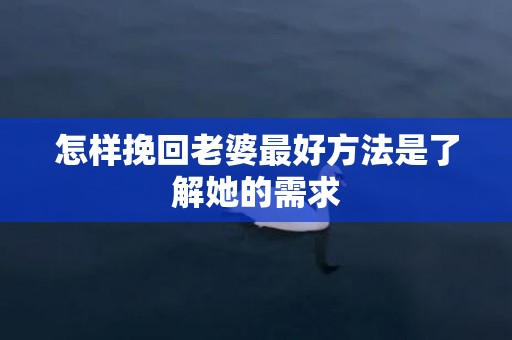 怎样挽回老婆最好方法是了解她的需求