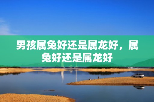 男孩属兔好还是属龙好，属兔好还是属龙好