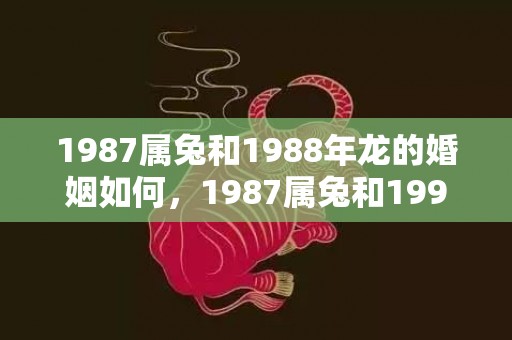 1987属兔和1988年龙的婚姻如何，1987属兔和1992属猴相配吗