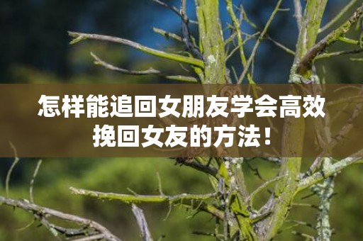 怎样能追回女朋友学会高效挽回女友的方法！