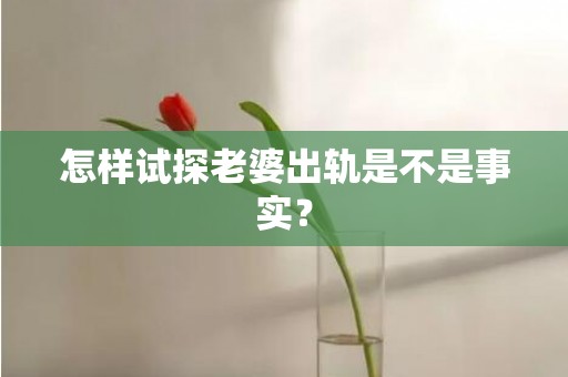 怎样试探老婆出轨是不是事实？