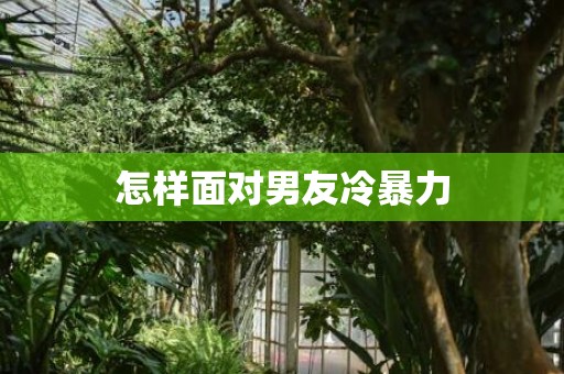 怎样面对男友冷暴力