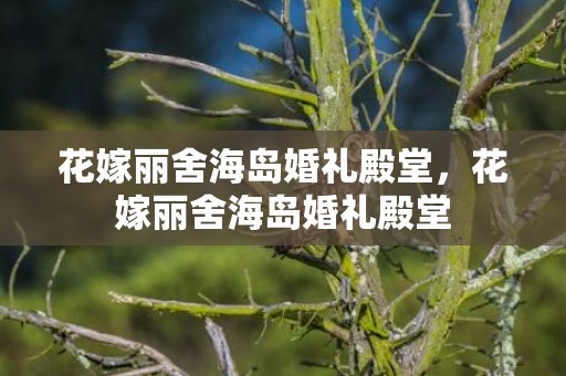 花嫁丽舍海岛婚礼殿堂，花嫁丽舍海岛婚礼殿堂