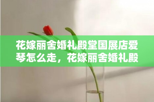 花嫁丽舍婚礼殿堂国展店爱琴怎么走，花嫁丽舍婚礼殿堂南京
