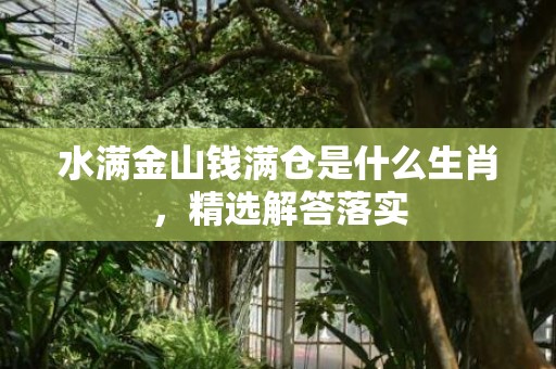 水满金山钱满仓是什么生肖，精选解答落实
