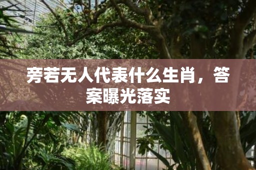 旁若无人代表什么生肖，答案曝光落实
