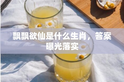 飘飘欲仙是什么生肖，答案曝光落实
