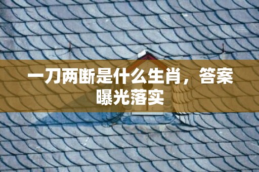 一刀两断是什么生肖，答案曝光落实