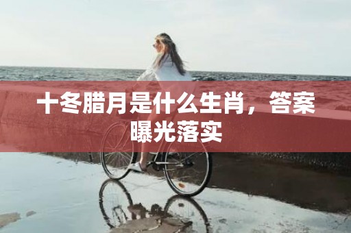 十冬腊月是什么生肖，答案曝光落实