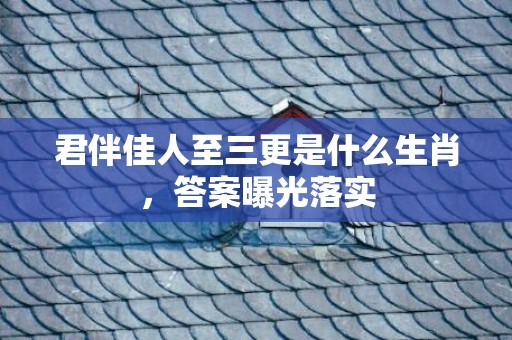 君伴佳人至三更是什么生肖，答案曝光落实