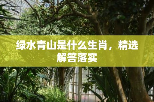 绿水青山是什么生肖，精选解答落实