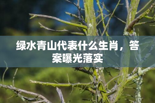 绿水青山代表什么生肖，答案曝光落实