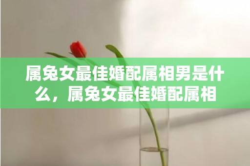属兔女最佳婚配属相男是什么，属兔女最佳婚配属相