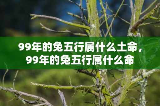 99年的兔五行属什么土命，99年的兔五行属什么命