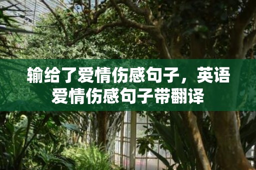 输给了爱情伤感句子，英语爱情伤感句子带翻译