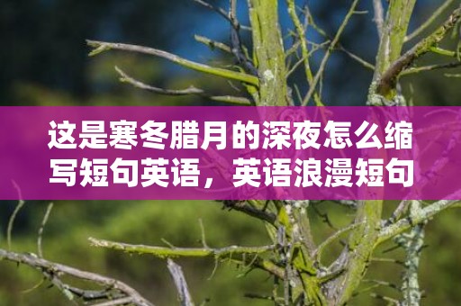 这是寒冬腊月的深夜怎么缩写短句英语，英语浪漫短句缩写句子