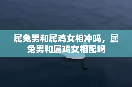 属兔男和属鸡女相冲吗，属兔男和属鸡女相配吗