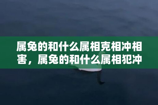 属兔的和什么属相克相冲相害，属兔的和什么属相犯冲