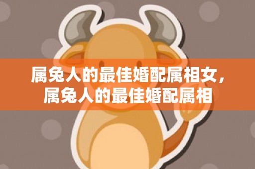 属兔人的最佳婚配属相女，属兔人的最佳婚配属相
