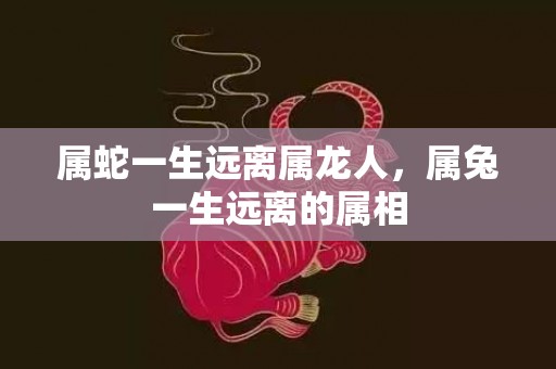 属蛇一生远离属龙人，属兔一生远离的属相