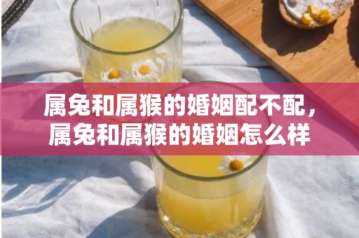 属兔和属猴的婚姻配不配，属兔和属猴的婚姻怎么样