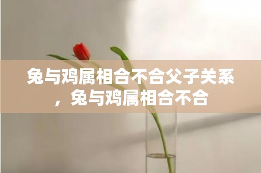 兔与鸡属相合不合父子关系，兔与鸡属相合不合