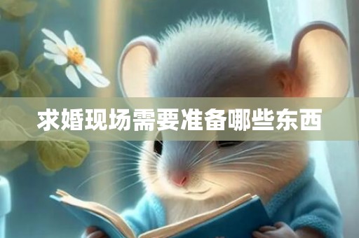 求婚现场需要准备哪些东西
