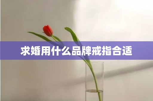 求婚用什么品牌戒指合适