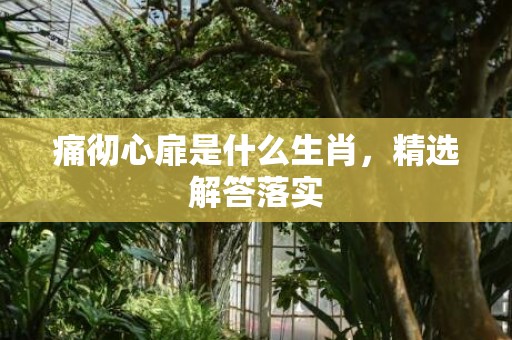 痛彻心扉是什么生肖，精选解答落实