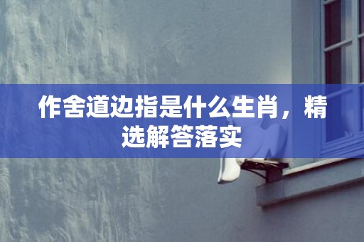 作舍道边指是什么生肖，精选解答落实