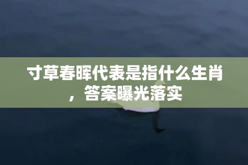 寸草春晖代表是指什么生肖，答案曝光落实