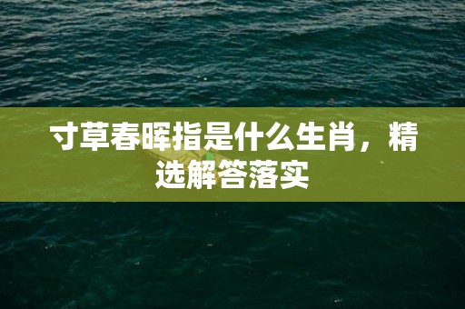 寸草春晖指是什么生肖，精选解答落实