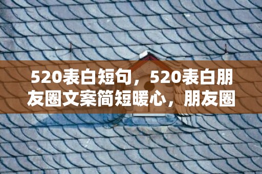 520表白短句，520表白朋友圈文案简短暖心，朋友圈偷偷表白文案