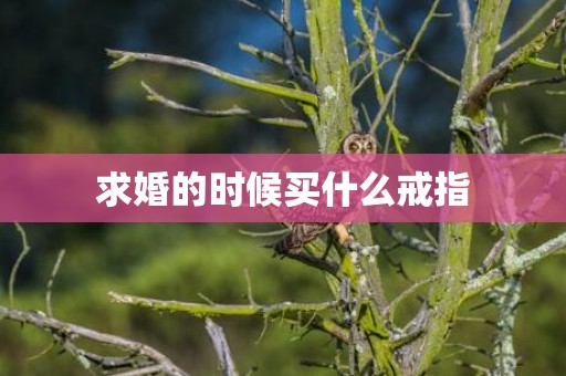 求婚的时候买什么戒指