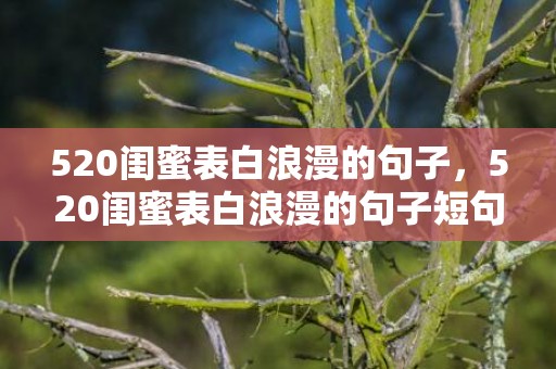 520闺蜜表白浪漫的句子，520闺蜜表白浪漫的句子短句，浪漫短句