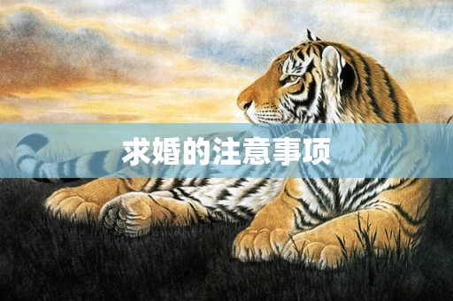 求婚的注意事项