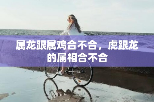 属龙跟属鸡合不合，虎跟龙的属相合不合