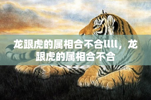 龙跟虎的属相合不合llll，龙跟虎的属相合不合
