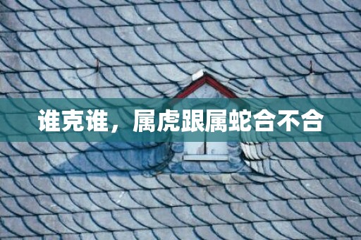 谁克谁，属虎跟属蛇合不合