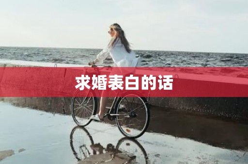 求婚表白的话